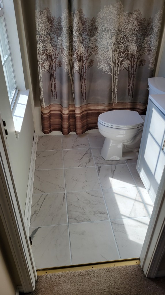 Partial bathroom Renovation: floor, vanity and toilet.